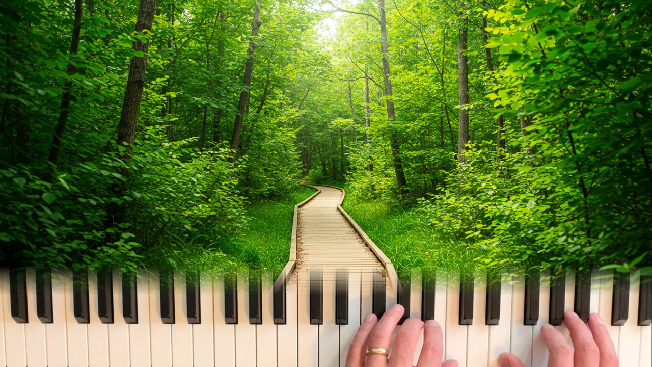 Boardwalk through green wood and piano hands